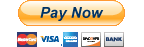 Pay now button to Buy Web Services